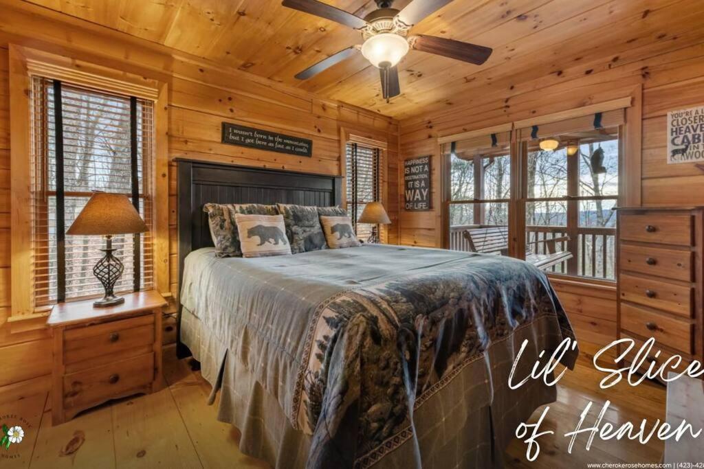 Lil Slice Of Heaven - Perfect Views-Hot Tub-Wine Villa Blue Ridge Exterior photo
